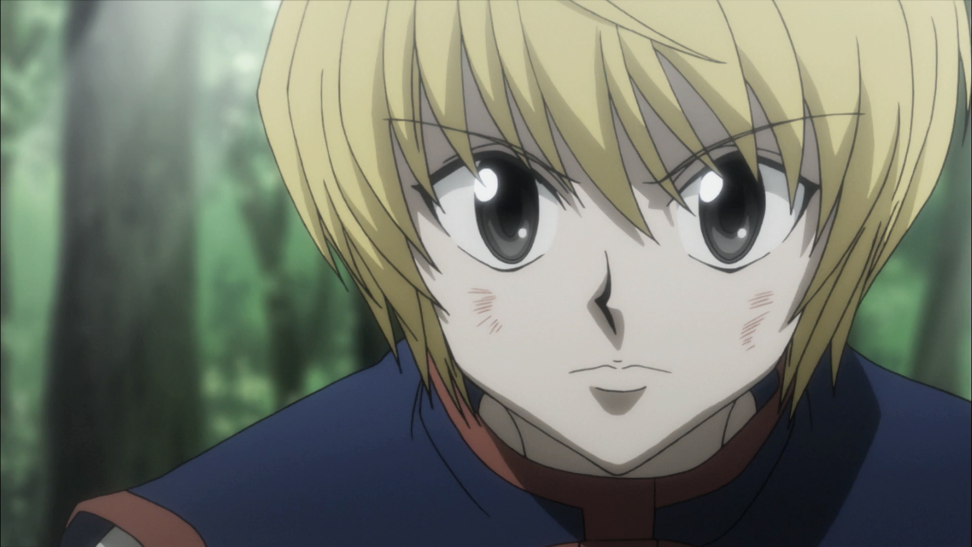 Hunter x Hunter (2011) (ZigZag)